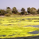 Malibu Lagoon